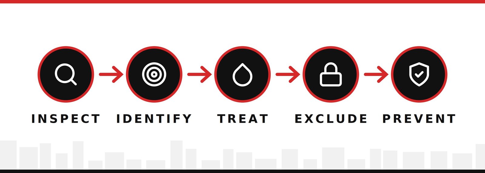 Our simple process: inspect, identify, treat, exclude, prevent