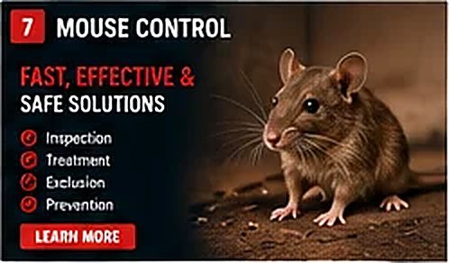 Mouse Control in NYC